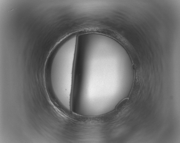 X0000064040722200601270931