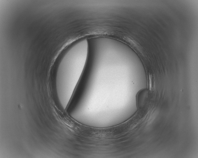 X0000064040723200601270931