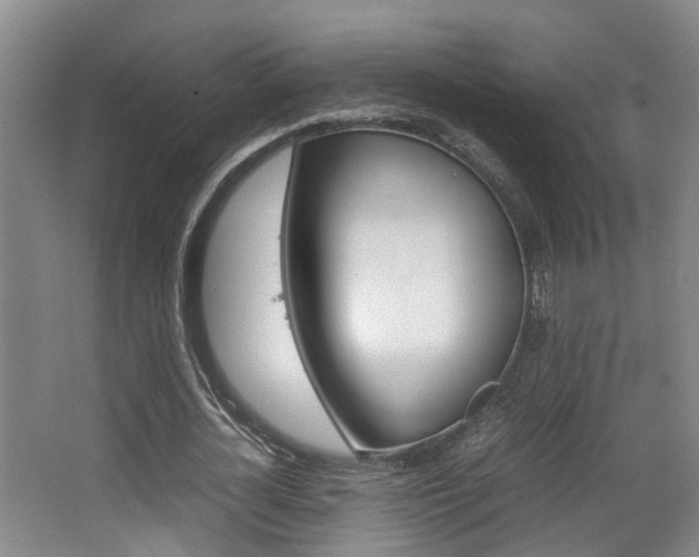 X0000064040724200601270931