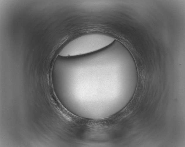X0000064040729200601270931