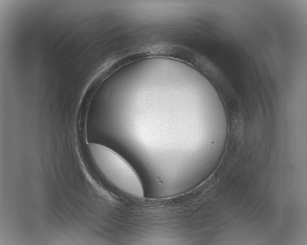 X0000064040730200601270931