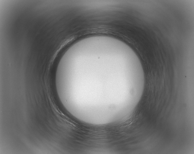 X0000064040731200601270931
