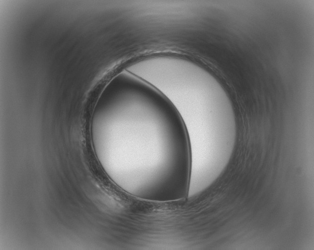 X0000064040732200601270931