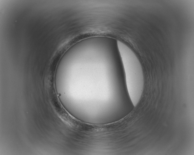 X0000064040736200601270931