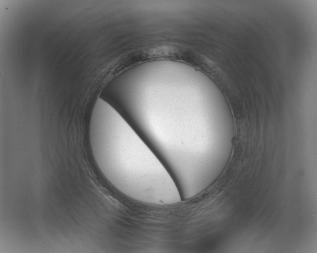 X0000064040737200601270931