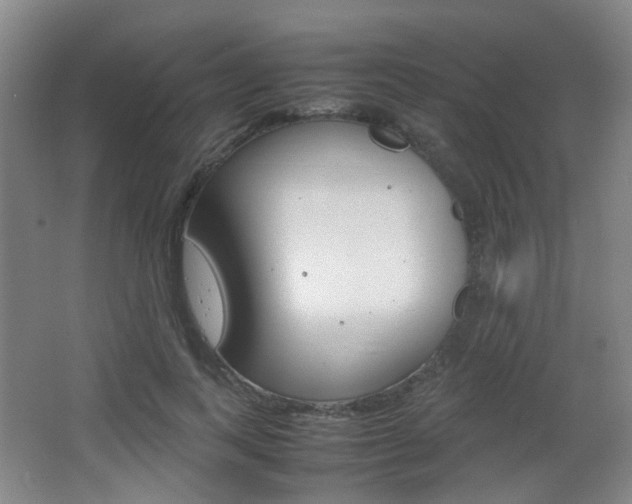 X0000064040743200601270932