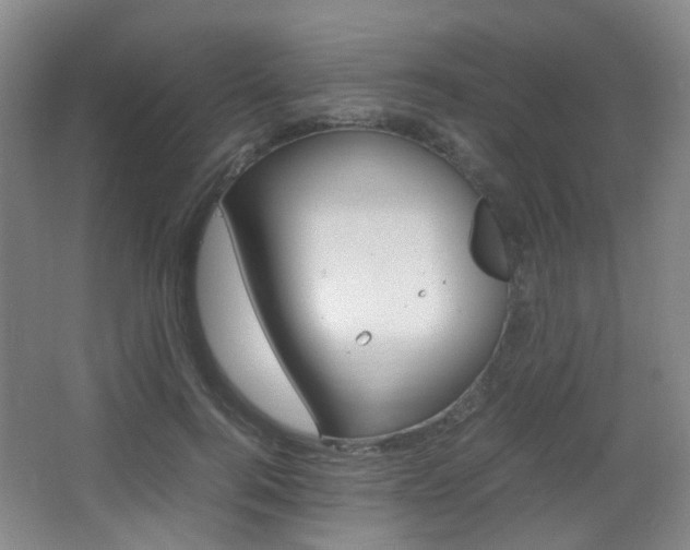 X0000064040744200601270932