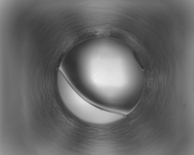 X0000064040748200601270932