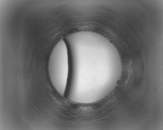 X0000064040749200601270932