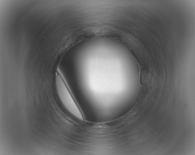X0000064040752200601270932