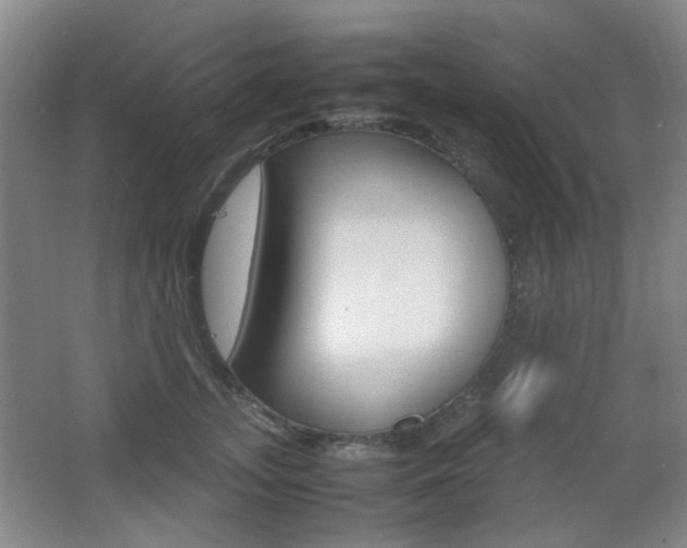 X0000064040755200601270932
