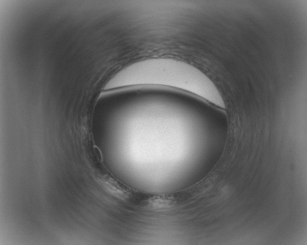 X0000064040756200601270932