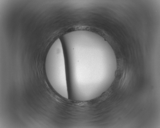X0000064040761200601270932