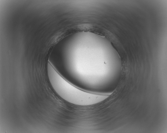 X0000064040762200601270932