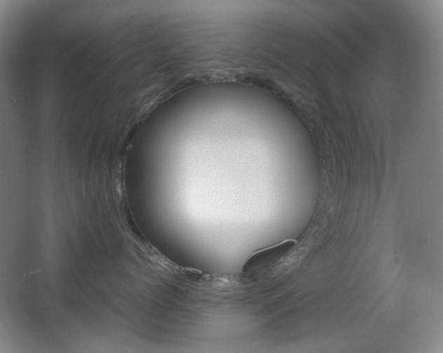 X0000064040768200601270932