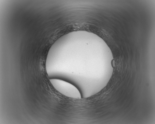 X0000064040770200601270931