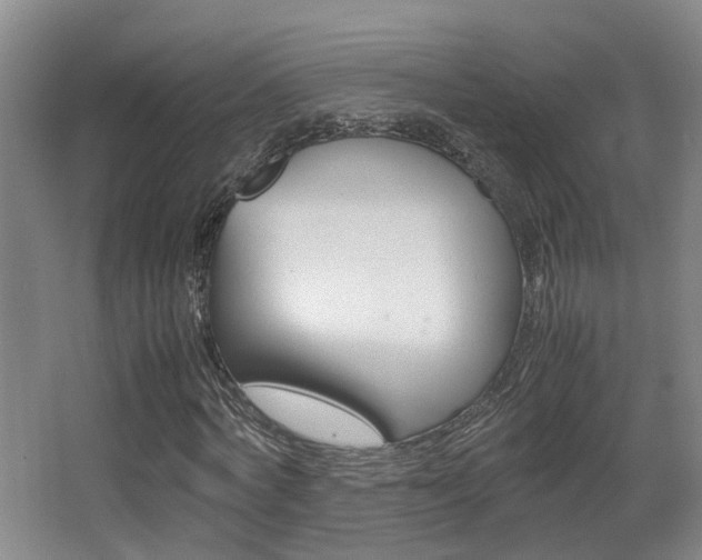 X0000064040772200601270931