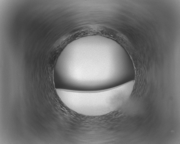 X0000064040773200601270931