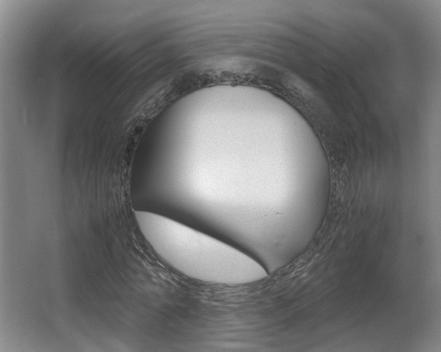 X0000064040774200601270931