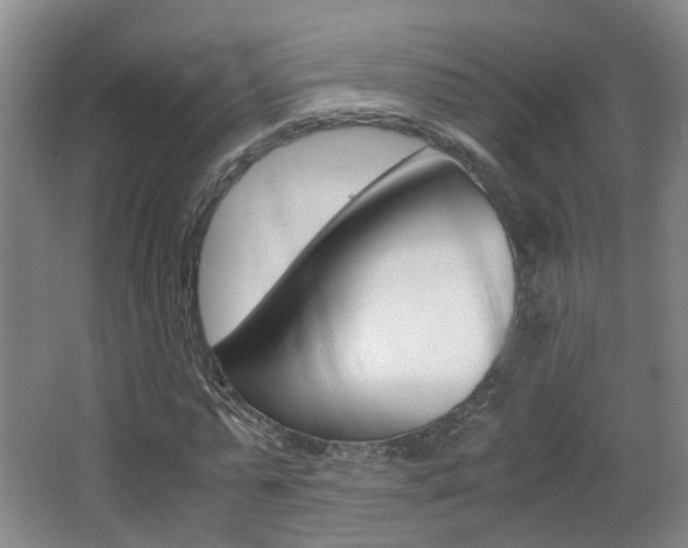 X0000064040775200601270931