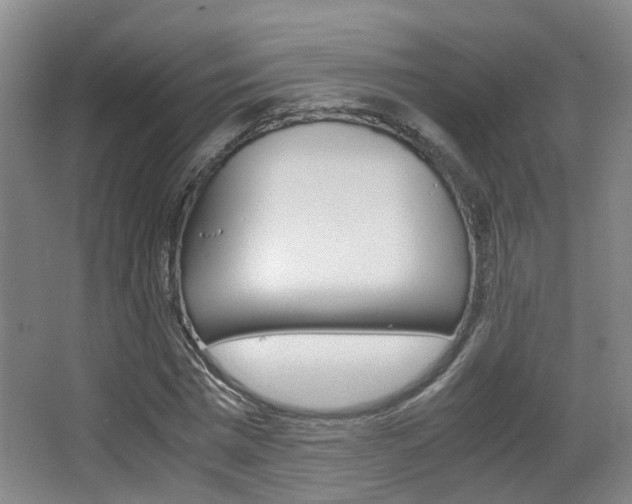 X0000064040777200601270931