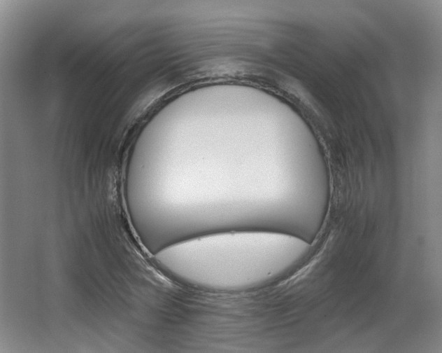 X0000064040778200601270931