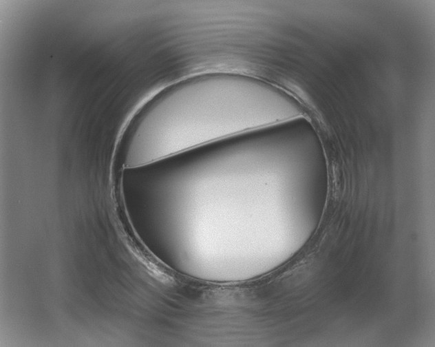 X0000064040780200601270931