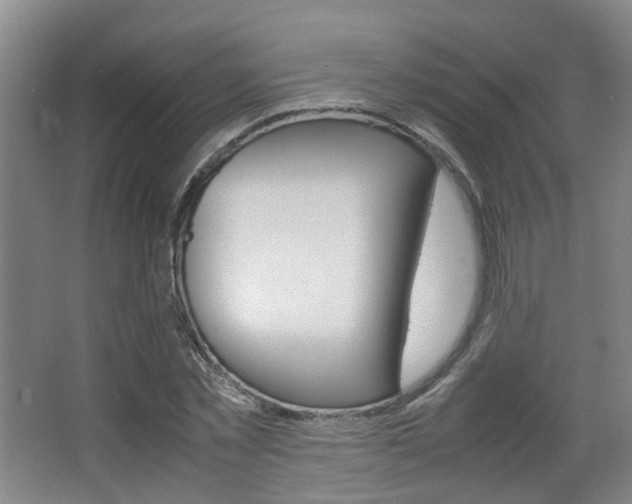 X0000064040781200601270931