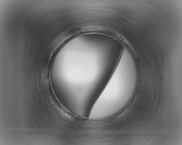 X0000064040786200601270931