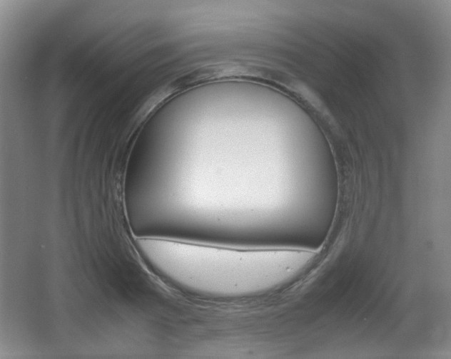 X0000064040793200601270931