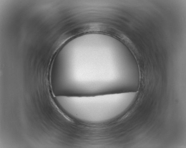 X0000064040794200601270931