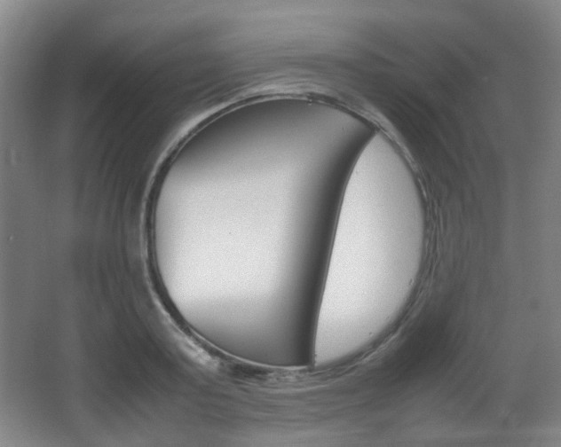 X0000064040795200601270931