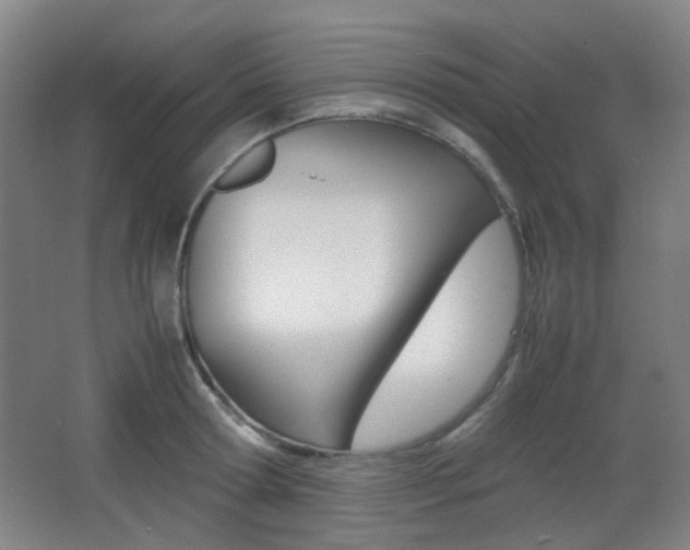 X0000064040802200601270931