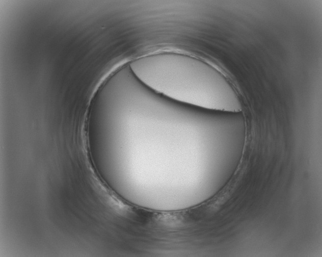 X0000064040806200601270931