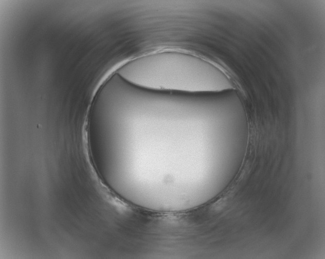 X0000064040814200601270930