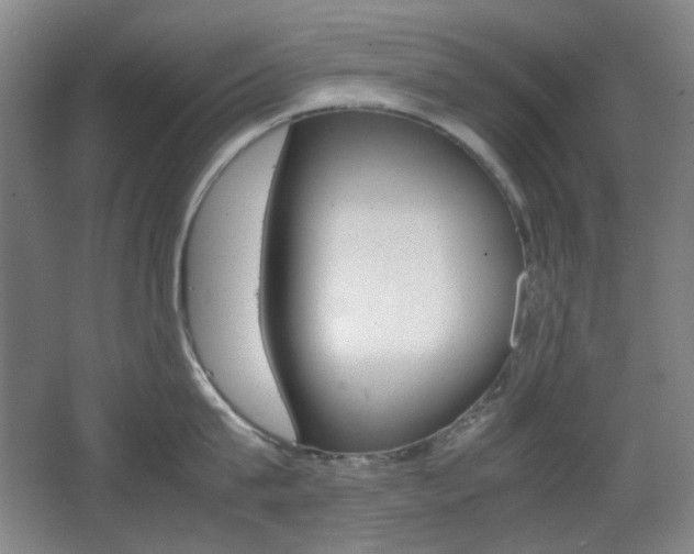 X0000064040815200601270930