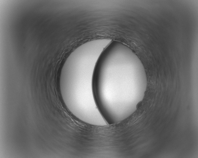 X0000064040817200601270930