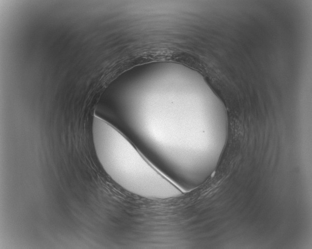 X0000064040818200601270930
