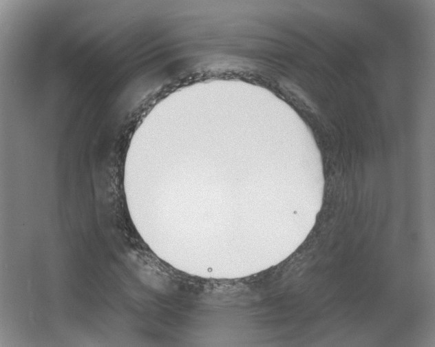 X0000064040824200601270930