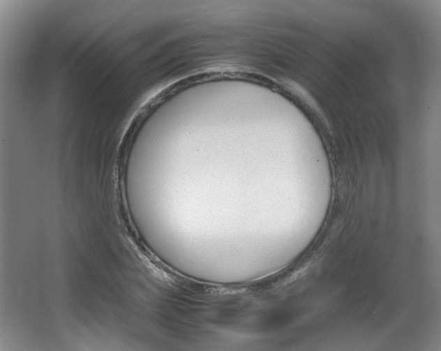 X0000064040831200601270930