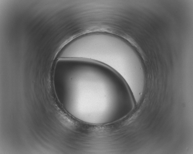 X0000064040834200601270930