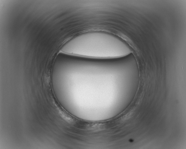 X0000064040841200601270930