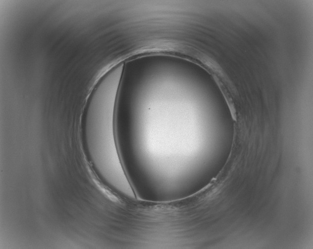 X0000064040842200601270930