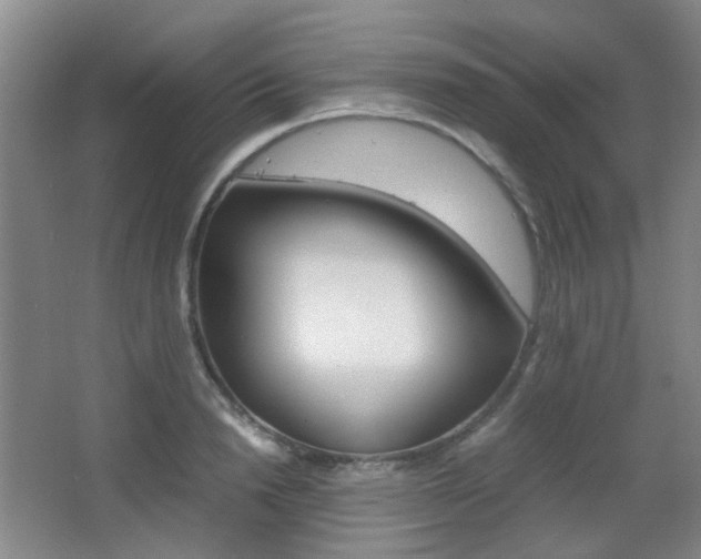 X0000064040846200601270930