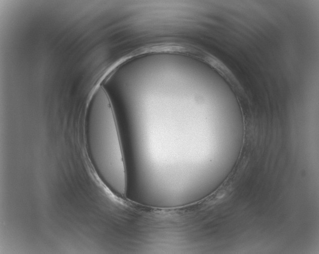 X0000064040852200601270930