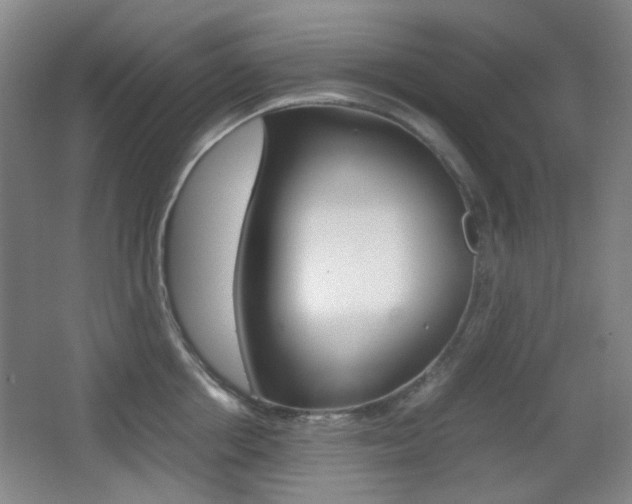 X0000064040858200601270930
