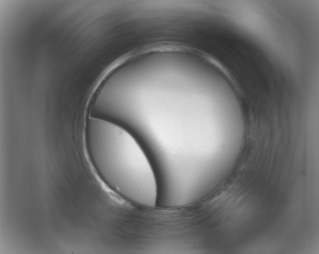 X0000064040861200601270930
