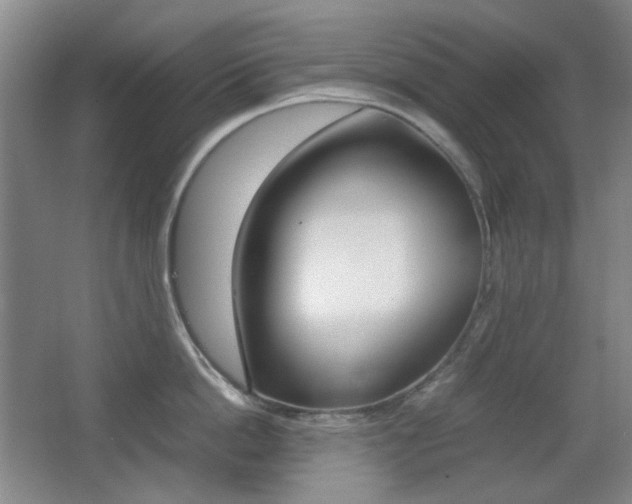 X0000064040862200601270930