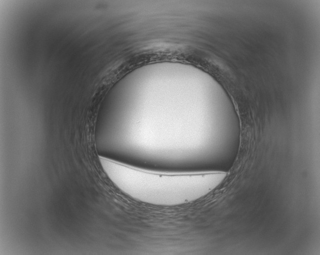 X0000064040869200601270929