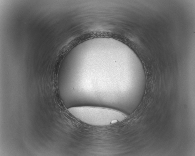 X0000064040870200601270929